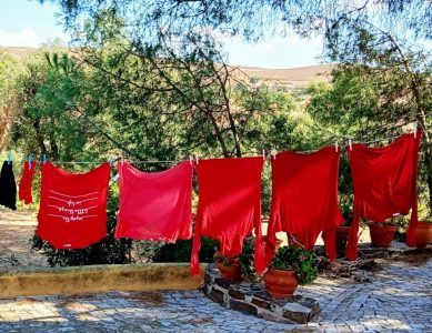 Die Farbe Rot – Psychologie, Etymologie und Kultur einer besonderen Farbe